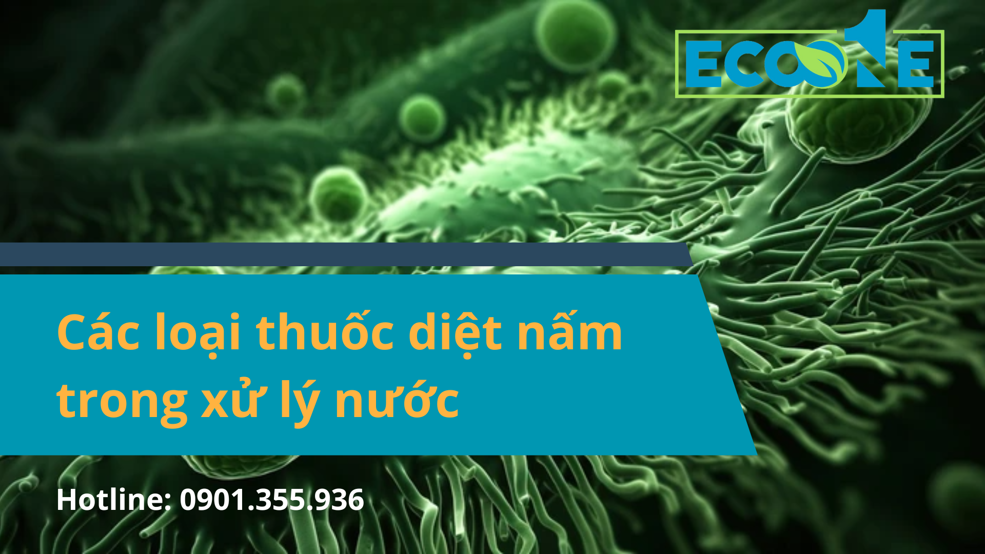 Các loại thuốc diệt nấm trong xử lý nước